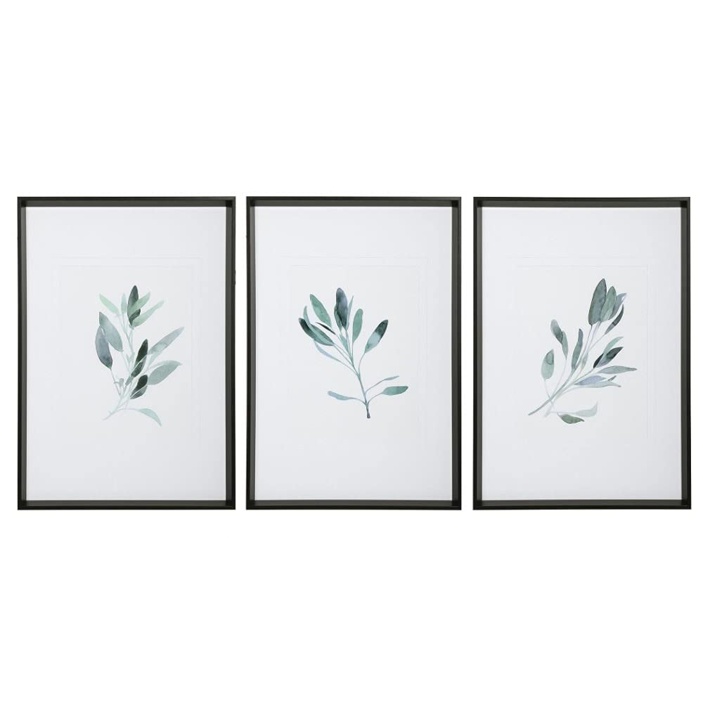 Uttermost Simple Sage Watercolor Prints, Set/3, Multicolor, (33723)