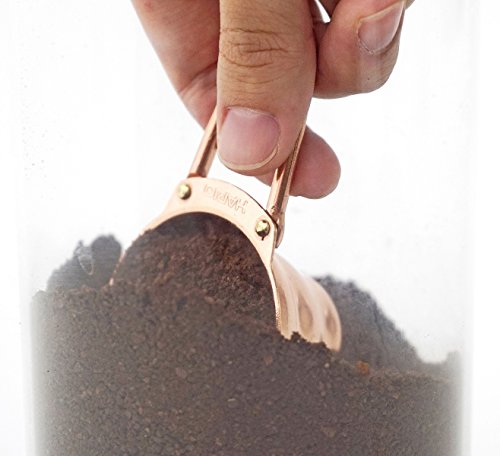 Hario V60 Measuring Spoon, Copper
