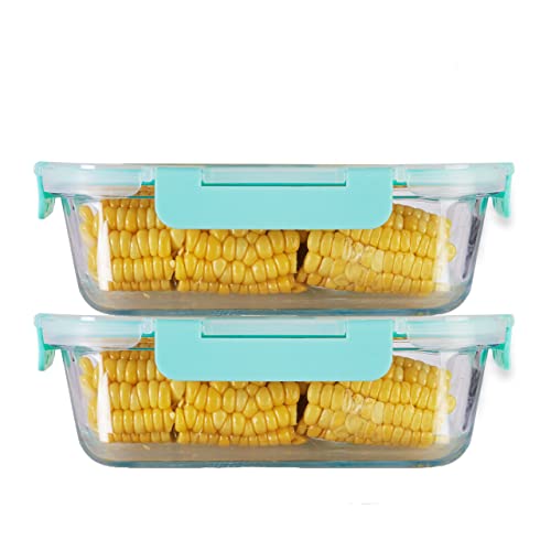 Allo Borosilicate Glass FoodSafe Rectangle Oven Safe Microwave Safe, Leak Proof Food Storage Container with Break Free Detachabl