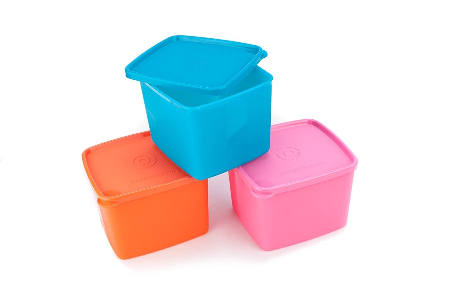 Signoraware Fridger Fresh Big Plastic Container Set, 850Ml, Set Of 3, Multicolour