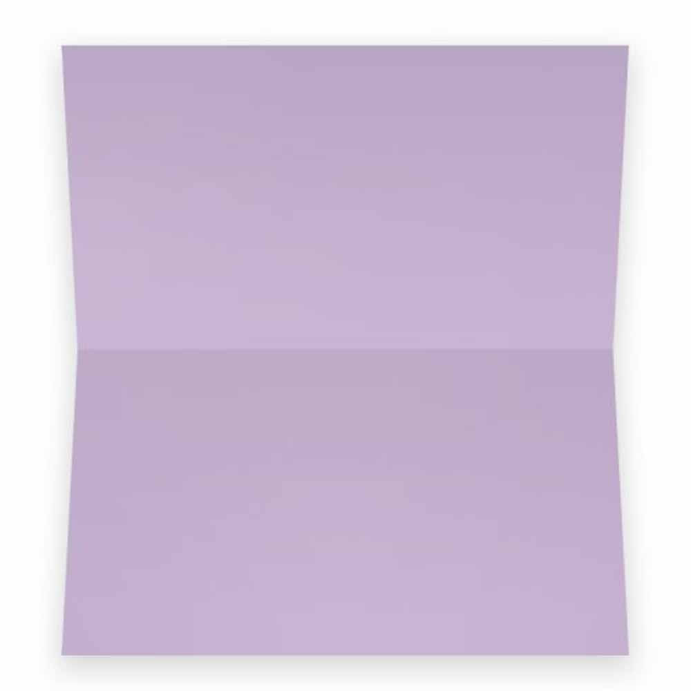 Lavender Place Cards - Flat Or Tent Style - 10 Or 50 Pack- White Front With Solid Color Border Placement Table Name Seating Stat