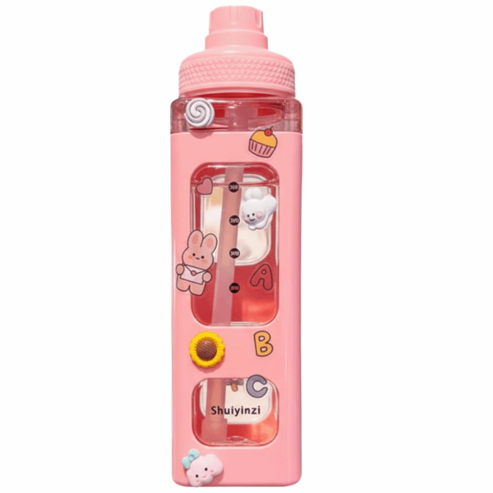 MOPFOL 700ml Water Bottle with Straw  Large Leakproof Portable Drinking Cup with Dual Lid & Cute Stickers for Gym, Camping, Dai