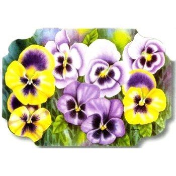 Hoffmaster Pansies Paper Placemats 50 Per Pack