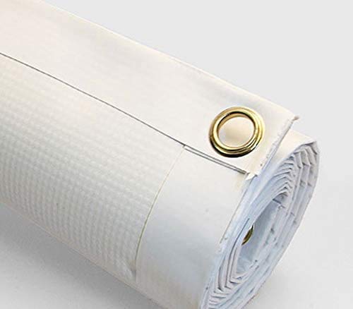 Damdekoli Savage Banner - Motivational Home Gym Decor - Large Quote Wall Art - Weightlifting - Inspirational - Minimalism (96 X