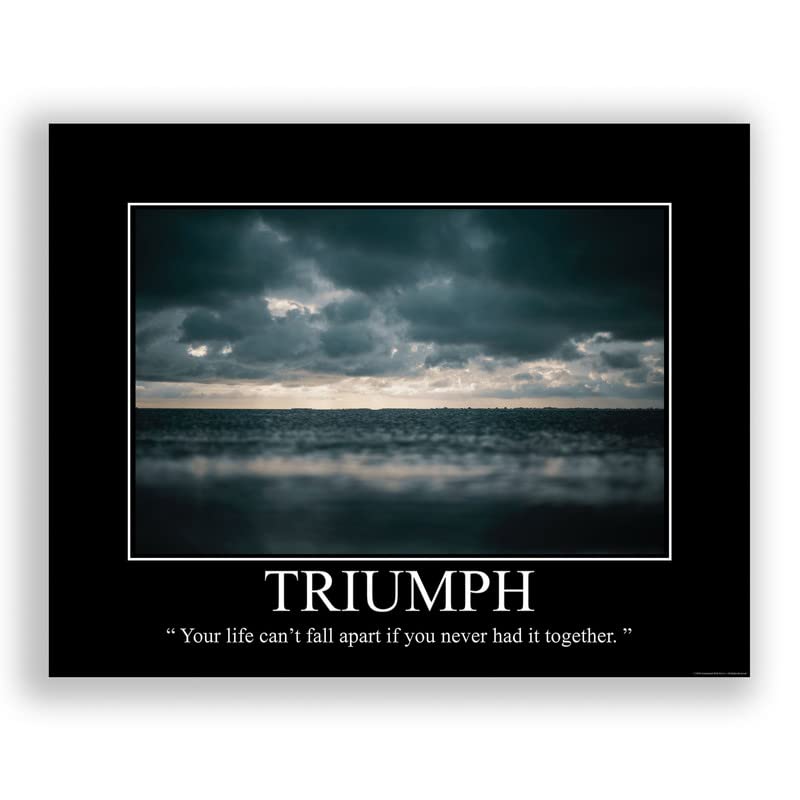 Triumph Demotivational Poster Snarky Ironic Funny Sarcastic Office Wall Decor Art Print 11X14 Inches Unframed
