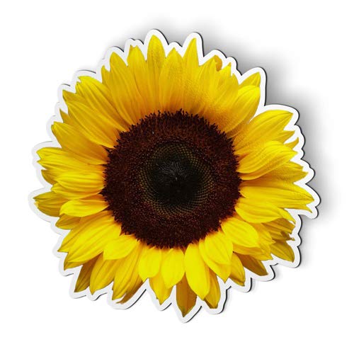 Ak Wall Art Sunflower - Magnet - Car Fridge Locker - Select Size