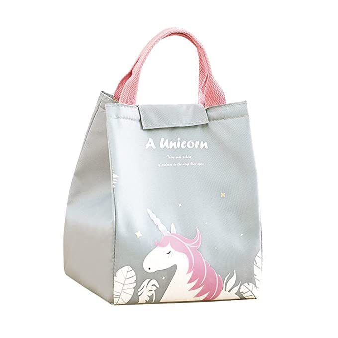 Flywind Insulated Lunch Bag Insulated Lunch Box Canvas Fabric With Aluminum Foil, Lunch Tote Handbag For Women,Men,School, Offic