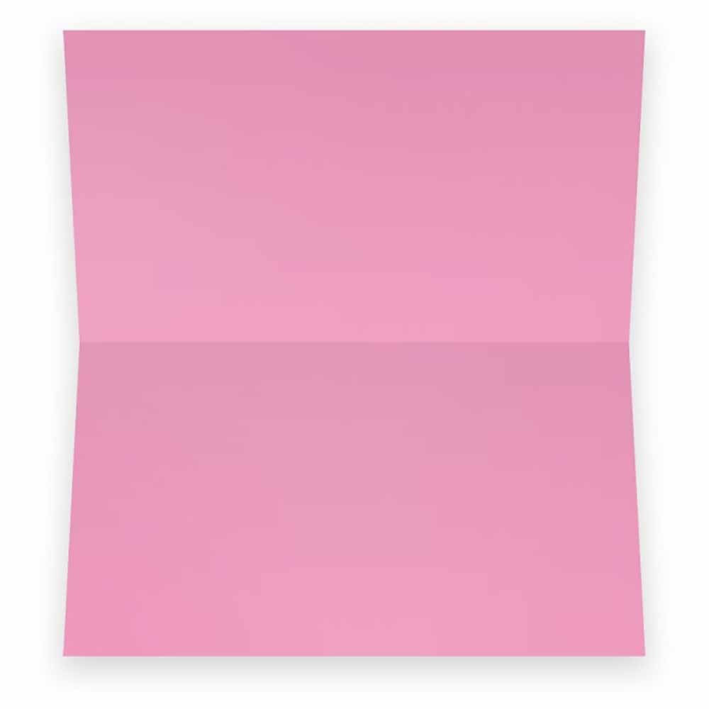 Pink Place Cards - Flat Or Tent Style - 10 Or 50 Pack - White Blank Front Solid Color Border Placement Table Name Dinner Seat St