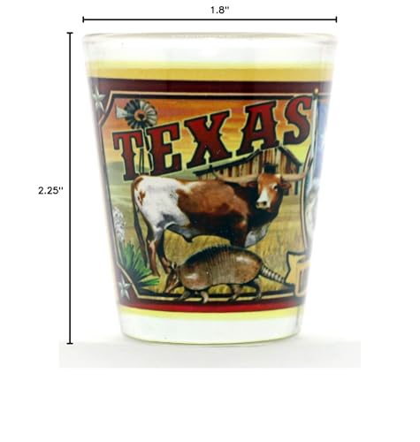 Texas State Mural Shot Glass