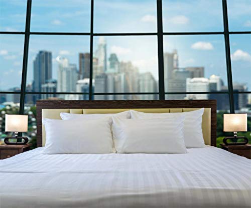 Ccwb 500 Thread Count Hotel Quality 1Pc Bed Sheet With 2 Pillow Cover Queen Size White Striped