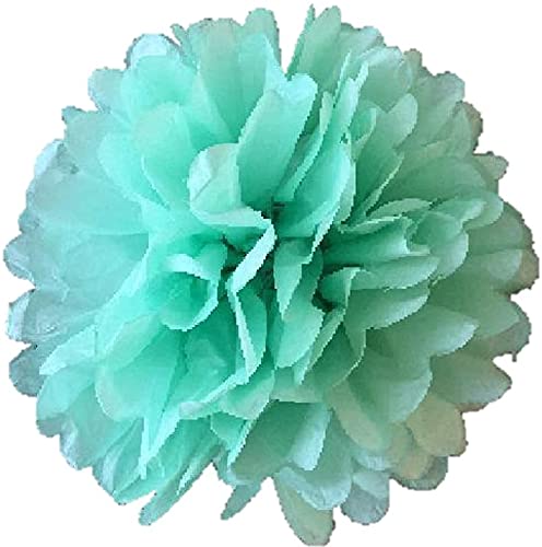 Pack Of 10 Tissue Paper Flower Ball Pom Pom Party Decoration Indoor Outdoor 6'' 8'' 10'' 12'' 14'' (Mint Green, 8'')