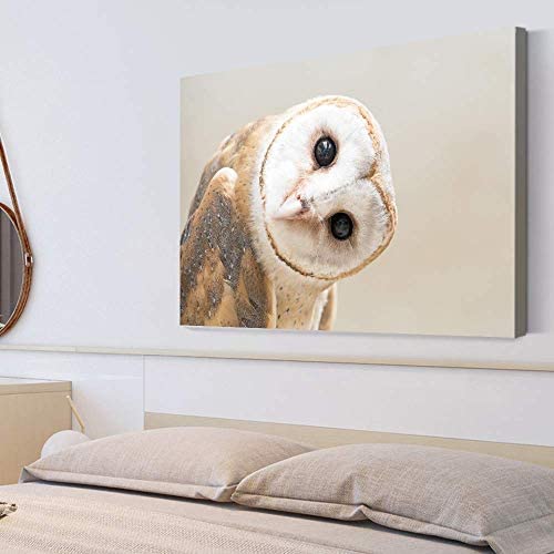SIGNFORD Canvas Print - White Owl Wall Art, Rustic Portrait, 16"x24", Perfect for Living Room, Bedroom, Office Decor