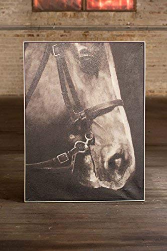 OIL PAINTING BLACK & WHITE SIDE VIEW HORSE W SILVER FRAME