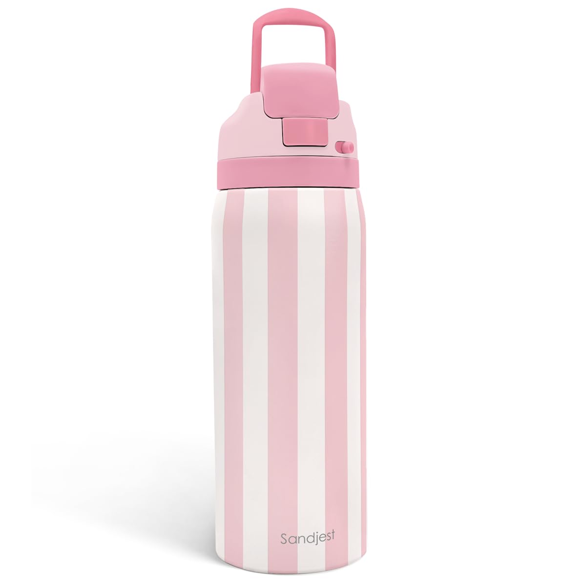 Stripe Insulated Stainless Steel Water Bottle with Straw, Push-Button Lid, 32 Ounce, Gifts for Women Girls Friends Teens Birthda