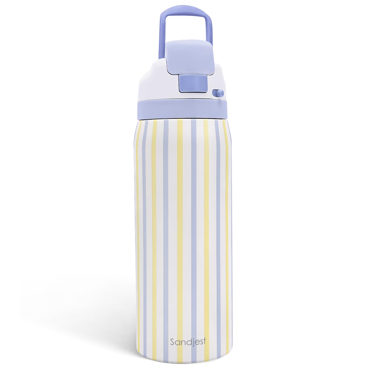 Stripe Stainless Steel Water Bottle, Vacuum Insulated, Push-Button Lid, 32 oz, Gifts for Women Girls Friends Teens Birthday Chri