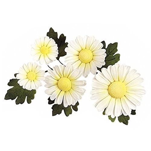 Jem Daisy Centre Stamp, Cake Decorating, Set Of 6 Fondant Cutters