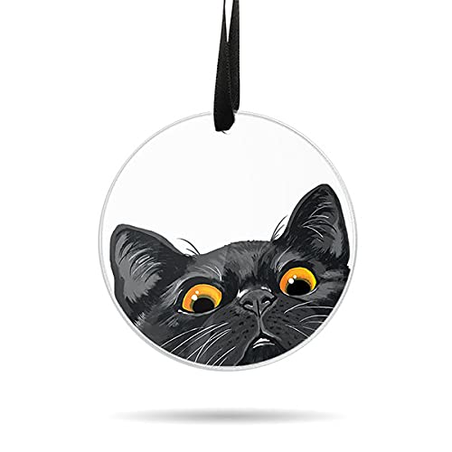 WIRESTER Hanging Ornaments for Christmas Tree Holidays, Party, Car, Home, Office Decoration, Large 3 inch Acrylic Ready to Hang 