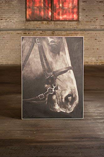 OIL PAINTING BLACK & WHITE SIDE VIEW HORSE W SILVER FRAME