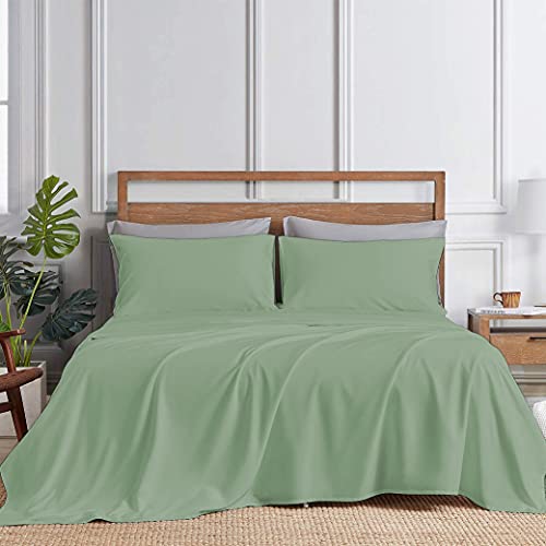 Yrm BeddingS 800Series Platinum Collection Giza Egyptian Cotton Bedsheet With 2Pillow Covers | Super King 2 Size Bedsheet  E