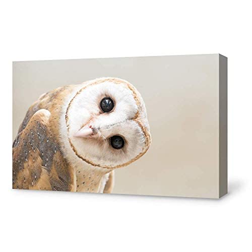 Signford Canvas Print Wall Art White Owl With Twisted Head Animals Wildlife Photography Rustic Portrait Cool For Living Room, Be