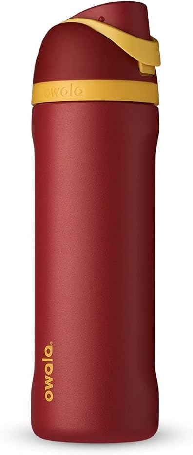 Owala Harry Potter FreeSip Insulated Stainless Steel Water Bottle with Straw, BPA-Free Sports Water Bottle, Great for Travel, 24