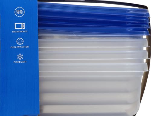 Ziploc Container Sm Square 4Ct,