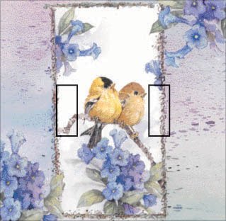 Goldfinch Summer Double Toggle Switchstix Peel And Stick Switch Plate Cover D  Cor - 1 Unit