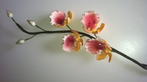 Ny Cake Jrv8001 Oncidium Orchid Leaf Veiner, 2 Pc, 2 Inch X 1 1/2 Inch