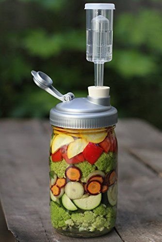 FARMcurious Mason Jar Mold Free Fermenting Kit, Grey, 2 Pack