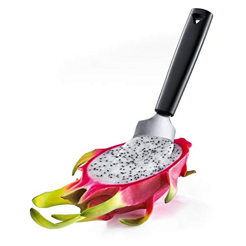 Triangle Fruit Spoon - Stainless Steel - Easily Scoops Out & Carves Fruit & Vegetables - Dishwasher Safe