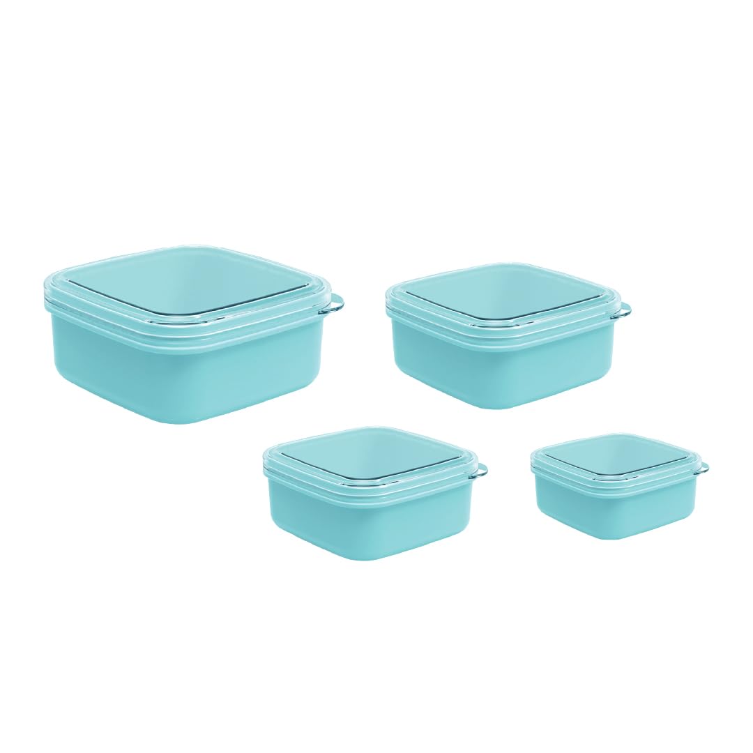 All Time Plastic Bestow Storage Container Set Of 4 For Kitchen Storage | Small Organiser | Microwave Kitchen Storage Set |Bpa Fr