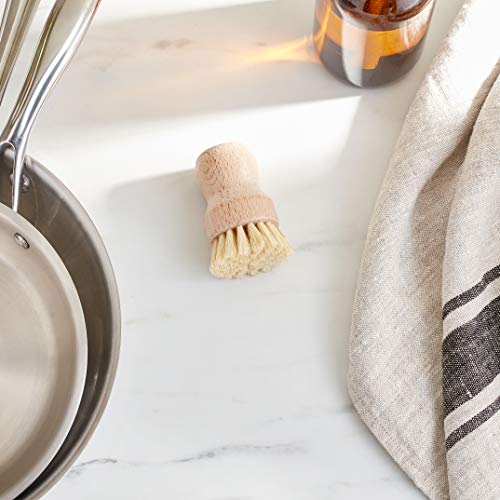 Fox Run Kitchen Brush, Small Dish Brush With Natural Bristles, 3''