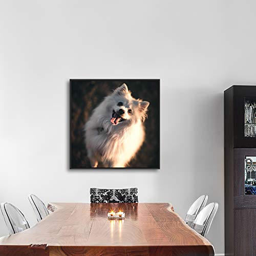 Nwt Custom Framed Canvas Prints With Your Photo For Pets, Personalized Canvas Wall Art For Living Room, Bedroom - 24X24 Inches
