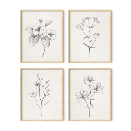Haus And Hues Grey Floral Wall Art - Set Of 4 Plant Posters For Wall Vintage, Botanical Prints, Black And White Flower Pictures