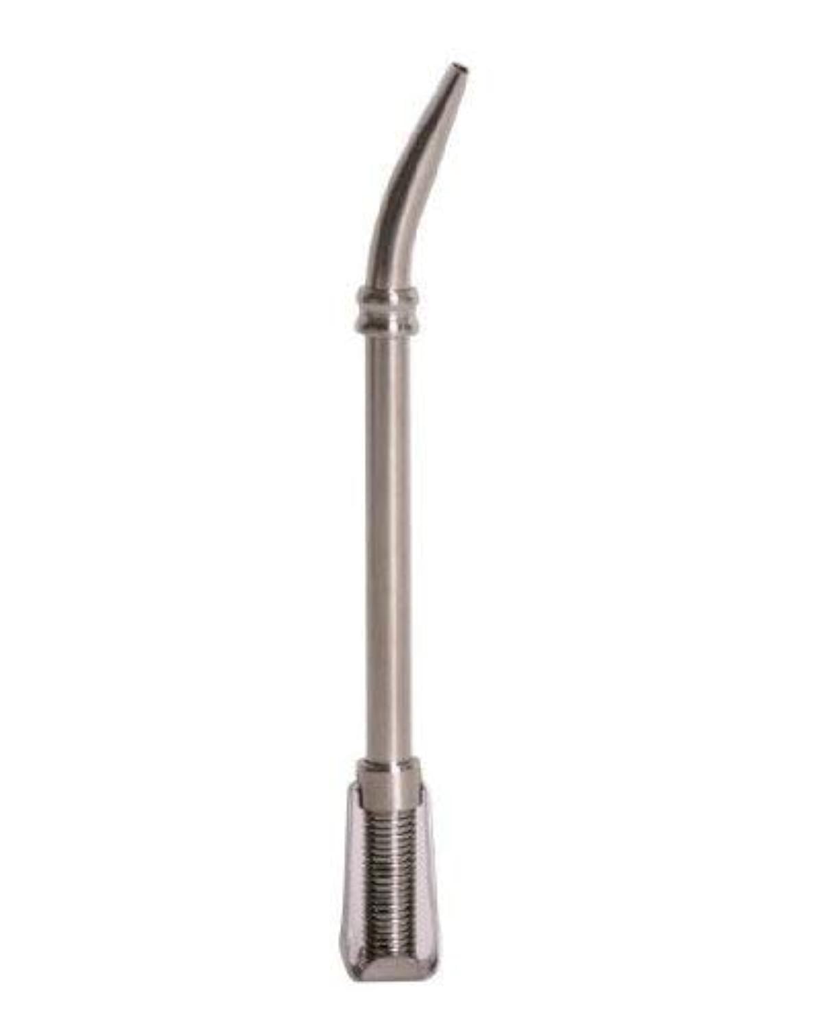 Ecoteas Stainless Steel Spring Bombilla (Tea Filter Straw), 1Count, Garden, Lawn, Maintenance