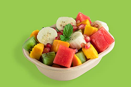 Vik 250 Ml Rectangular Disposable Bowls (Pack Of 100), Bagasse Bowls, Brown