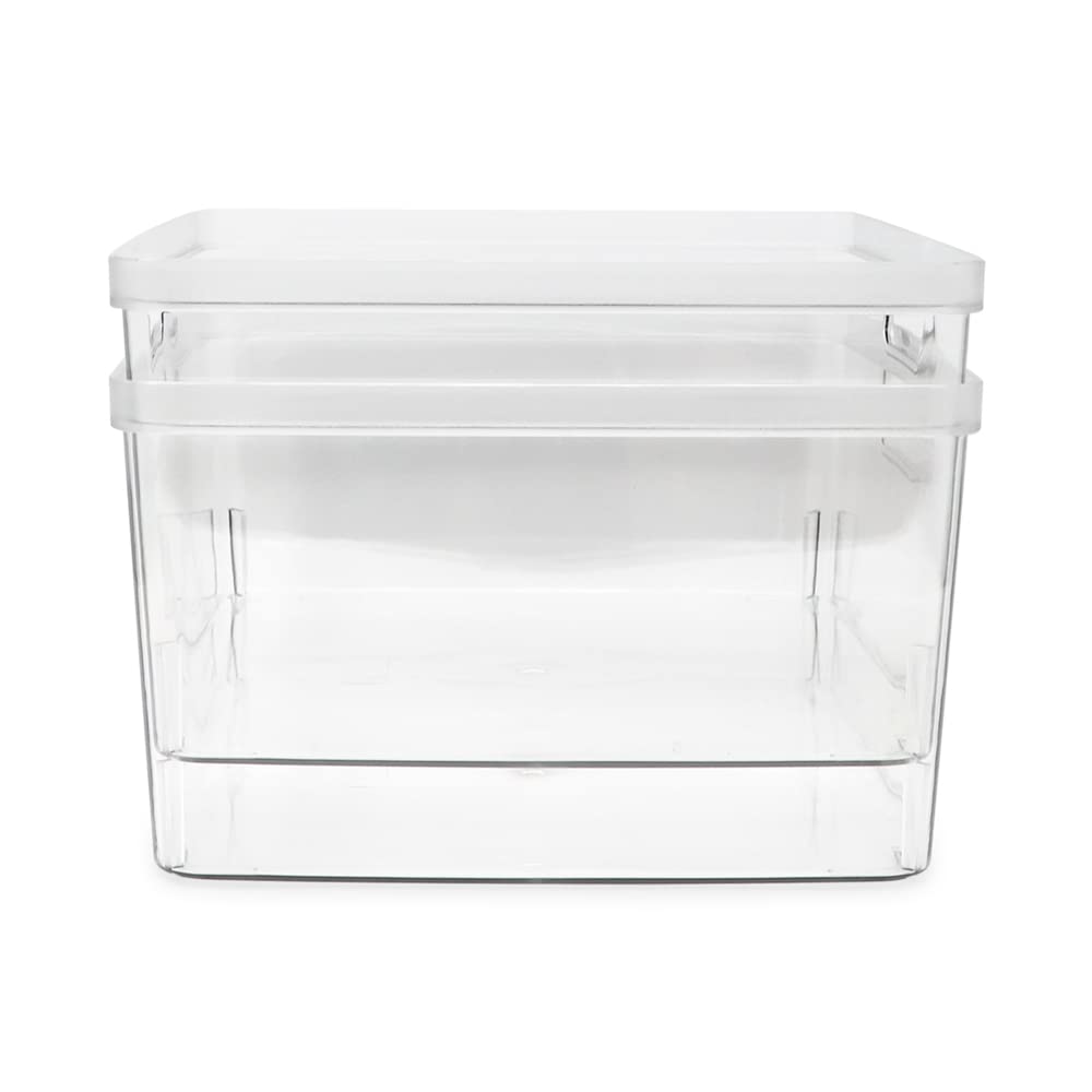 Isaac Jacobs 2-Pack Square Clear Storage Bins (10