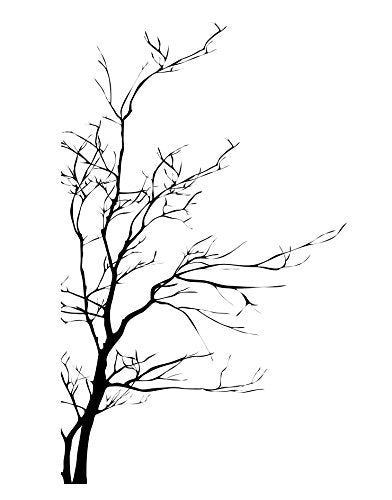 Stickerbrand Bare Tree Branch Wall Decal Sticker 80In Tall X 36In Wide #Ac223-80X36. Easy To Apply And Removable. Made In The Us