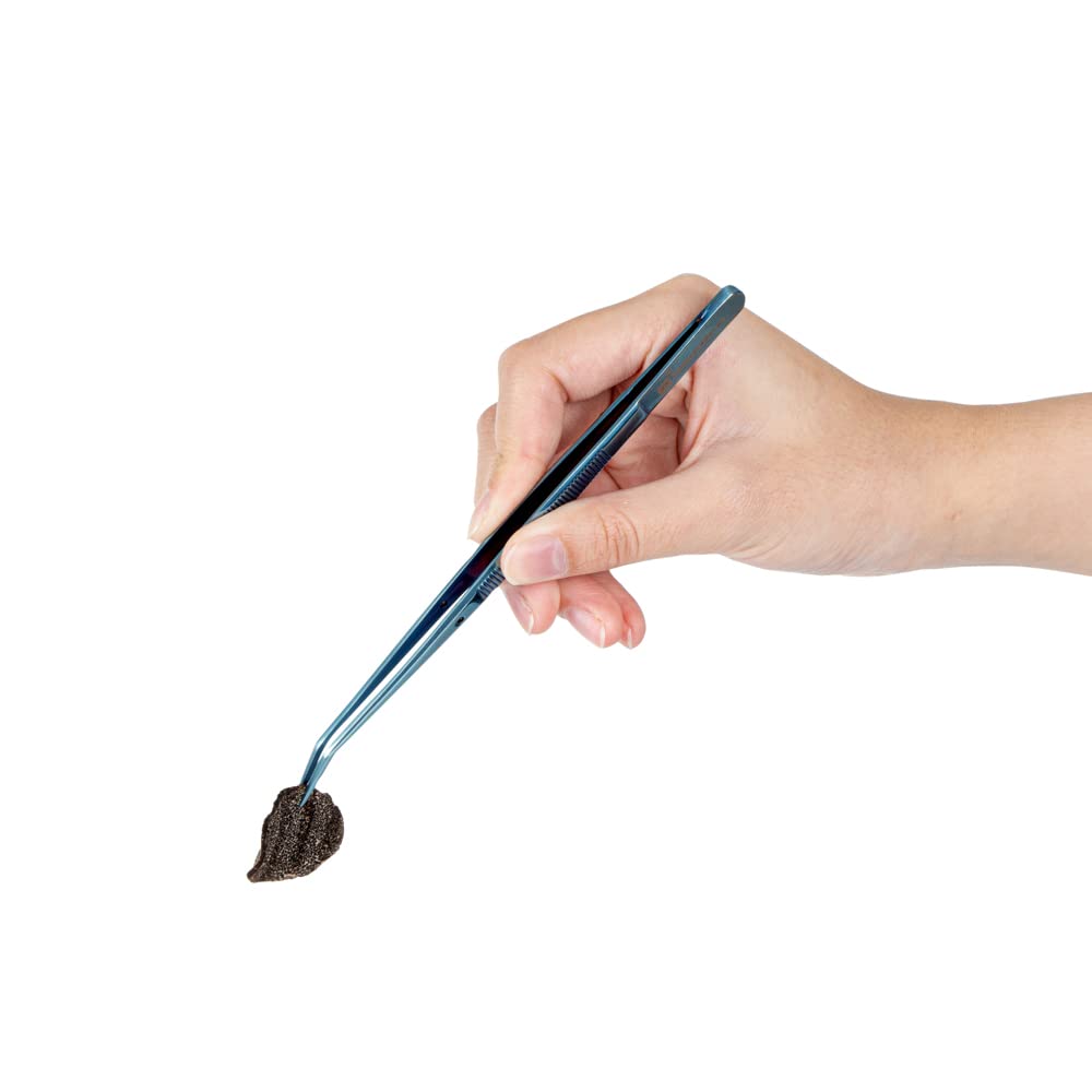 Restaurantware Perfect Point 6.3 Inch Curved Tweezer, 1 Slant Nose Food Tweezer - Serrated Tips For Precision, For Garnishing, P