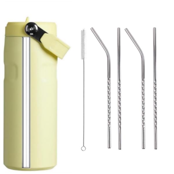 Reusable Stainless Steel Straws Set With Cleaning Brush  2 Straight & 2 Bent Metal Straws