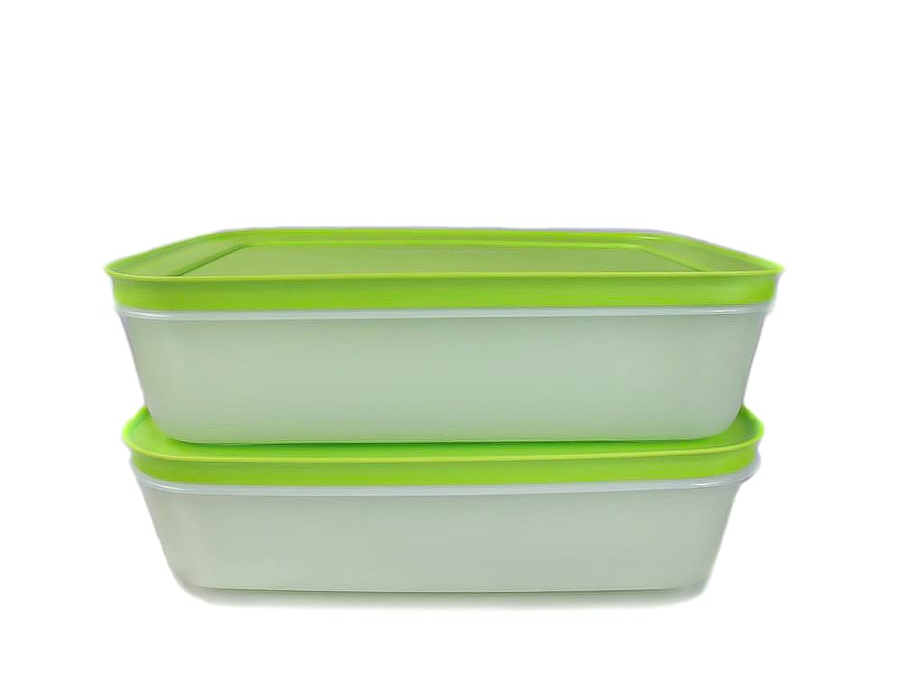 Tupperware Freezer Container 1.0 L Green/White Flat (2) Ice Crystal Ice Crystal