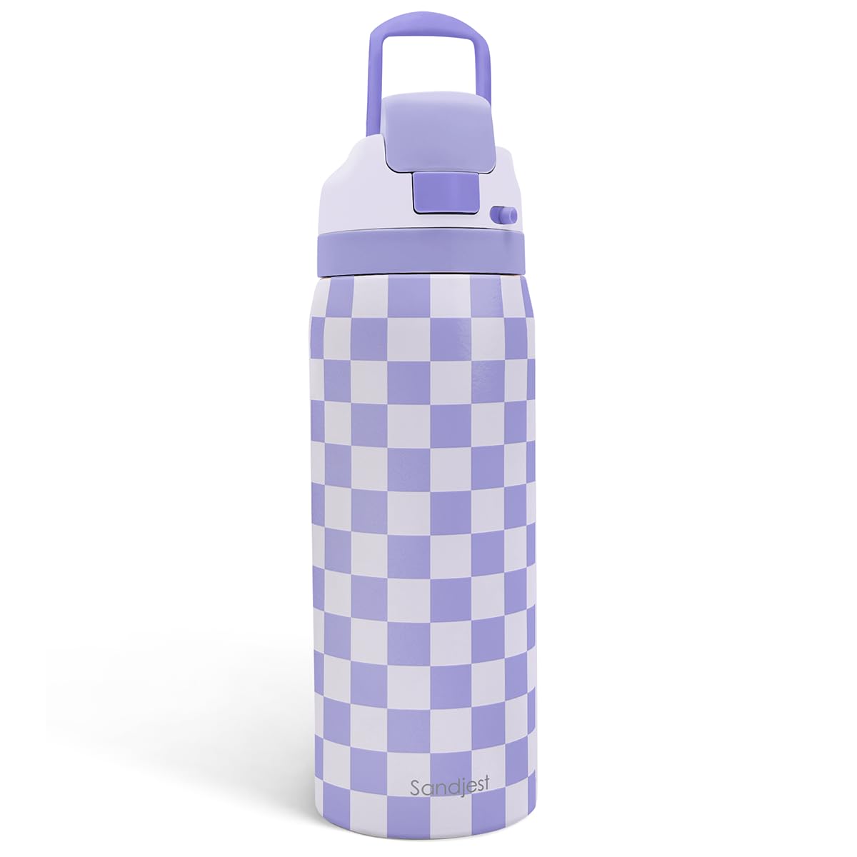 Checkered Insulated Stainless Steel Water Bottle with Straw for Sports and Travel, 32oz, Gifts for Women Girls Friends Teens Bir