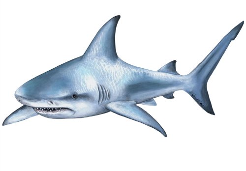 Walls Of The Wild Sea Creatures And Tropical Fish Wall Decals Collection (Economy Size 48 In. X 48 In.)