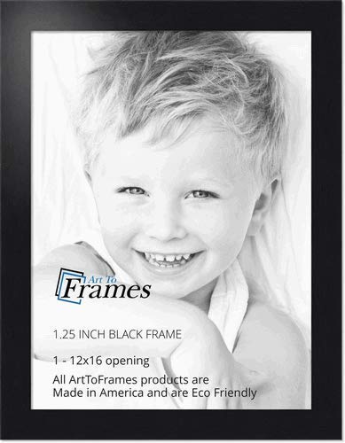 ArtToFrames 12x16 Inch Black Picture Frame, This 1.25 Custom Poster Frame is Black Steel Style, for Your Art or Photos - Comes w