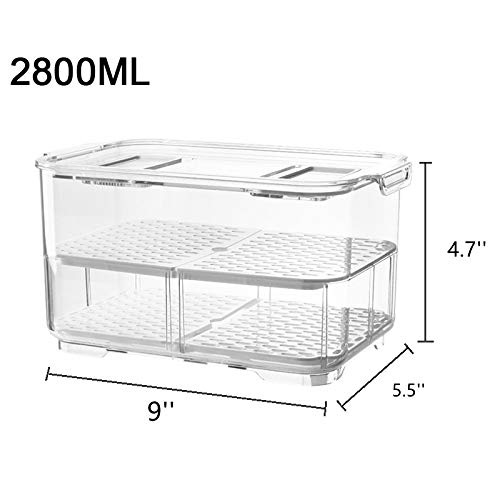 Slideep 9'' Food Storage Containers, 2 Tier Stackable Fridge Produce Saver With Lids, Removable Drain Tray Drawers Refrigerator