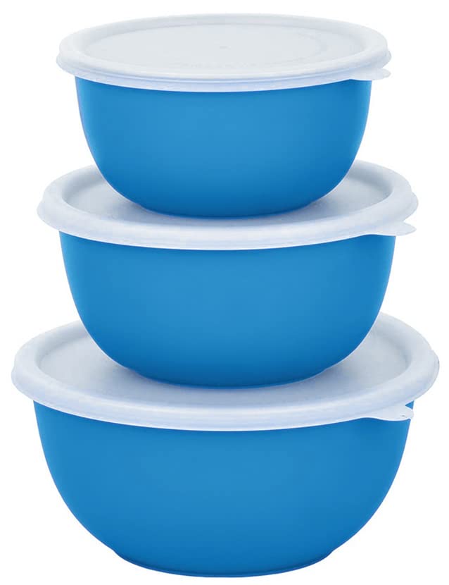 Zaib Microwave Safe Stainless Steel Food Storage Container Set | Snack Serving Containers For Kitchen |, Serving Bowl Set With L