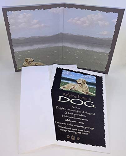Your True Nature 12 Favorites Greeting Card Set - Advice From A Dog, Cat, Bear, Eagle, Hummingbird, River, Trail, Coyote, Tree,