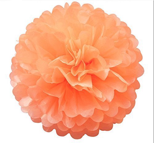 Life Glow 12Pcs Pom Poms Of 10'' 12'' 14'' Tissue Paper Craft Pom Poms Kit Tissue Paper Flowers Wedding Decorations For Wedding,