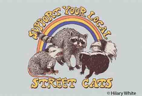 Rectangular Magnet Support Your Local Street Cats