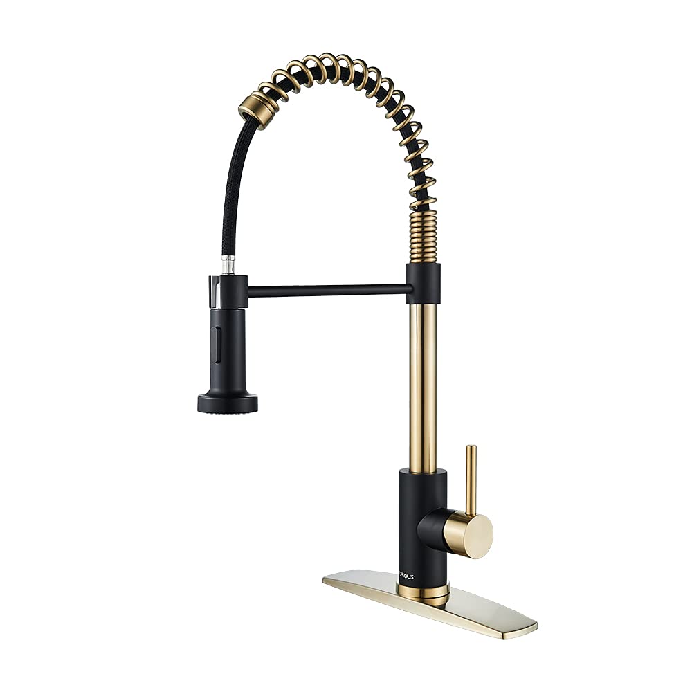 Forious Kitchen Faucet With Sprayer, Kitchen Sink Faucet With Pull Down Sprayer, Single Handle Kitchen Faucets With Deck Plate,